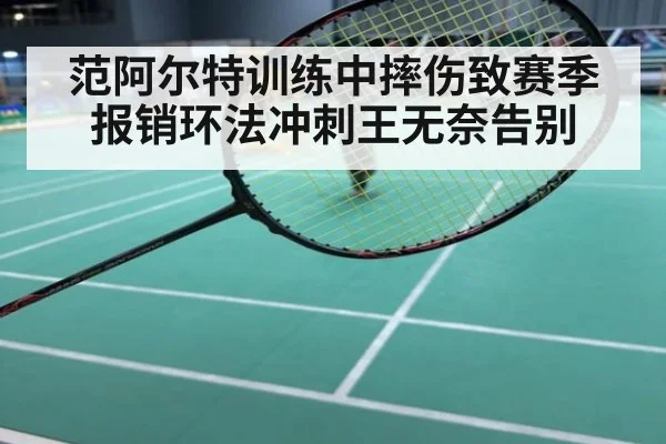范阿尔特训练中摔伤致赛季报销环法冲刺王无奈告别